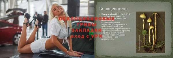 прущий лед Алексин