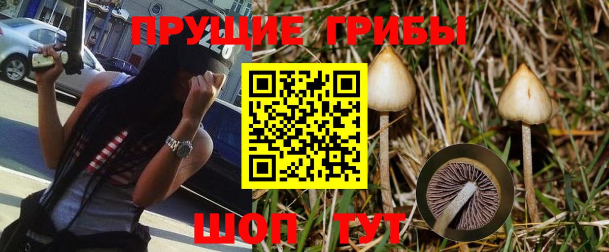 Галлюциногенные грибы Magic Shrooms  Вход с VPN  Бийск 